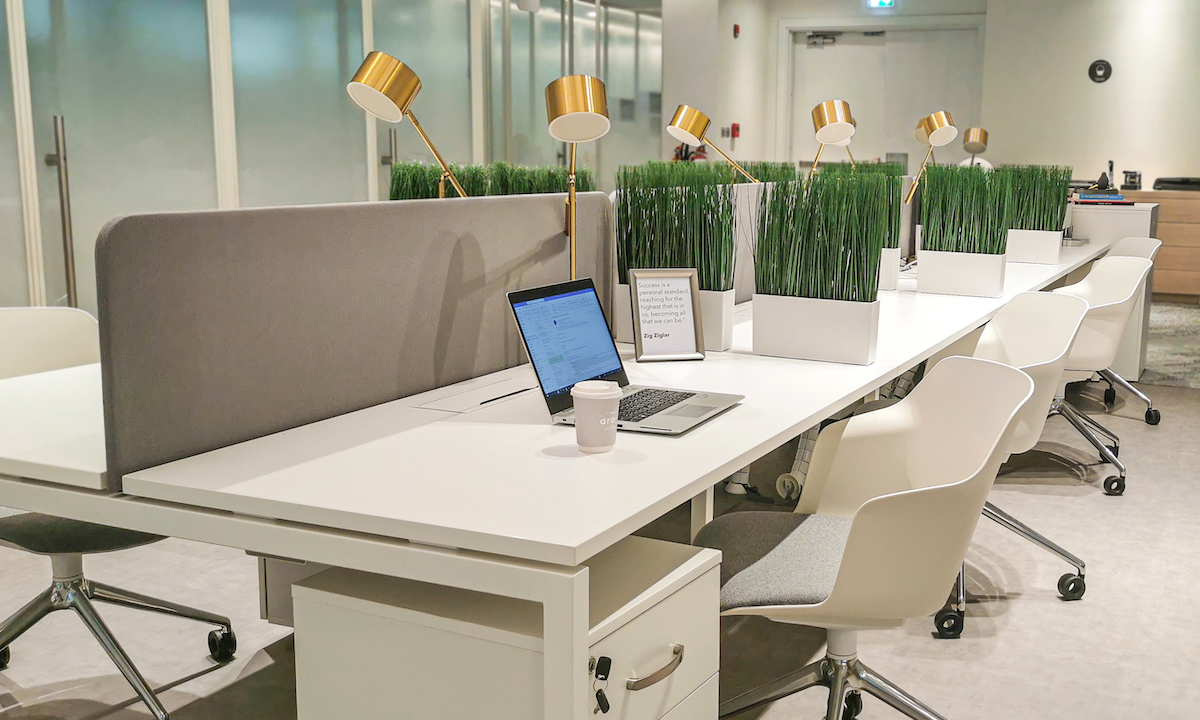 Dedicated Desk vs Hot Desk: A Freelancer's Guide to Choosing Right